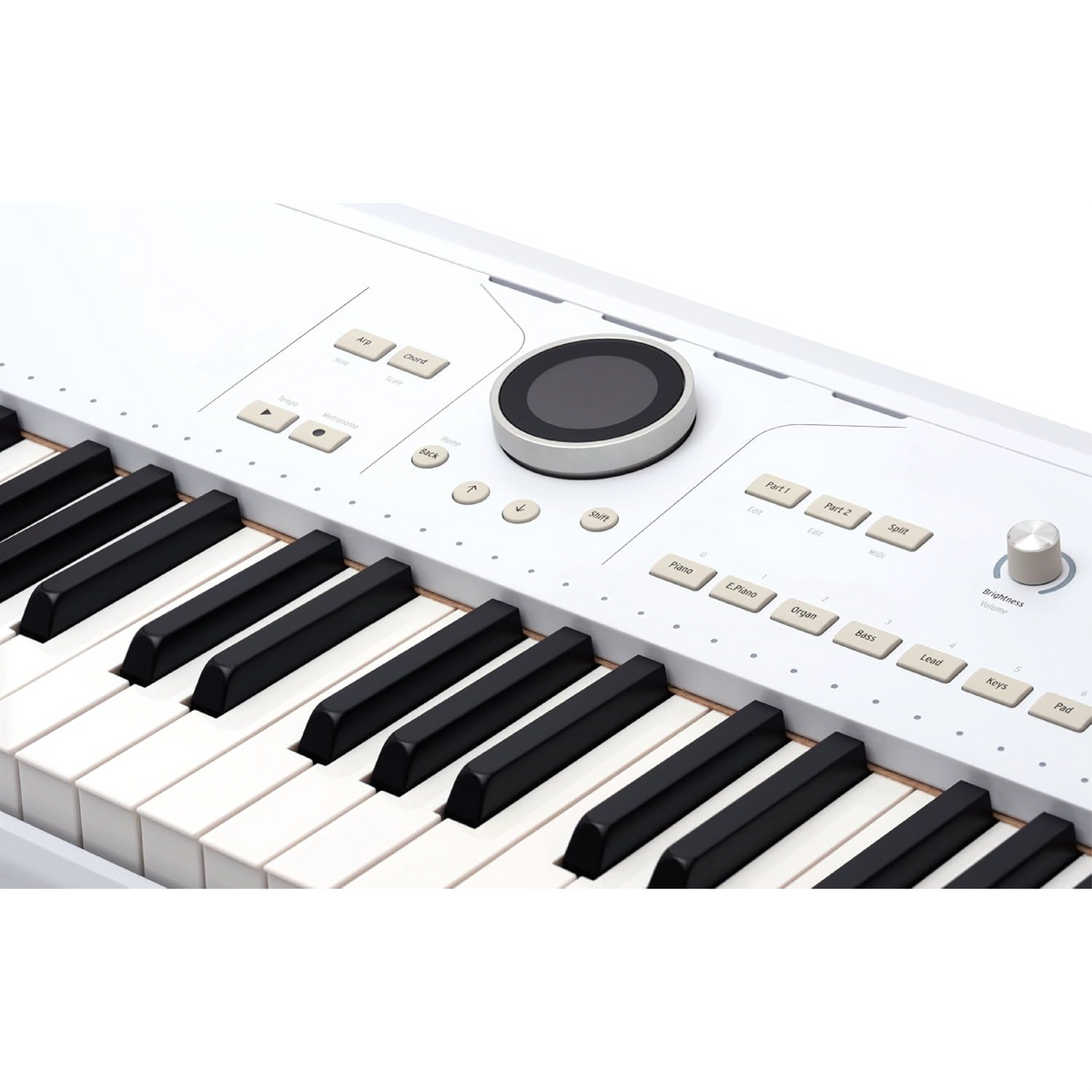 Arturia AstroLab 61